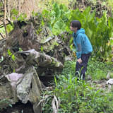 ペリリュー島を訪問した板垣李光人