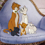 実写版「おしゃれキャット」が製作中止に