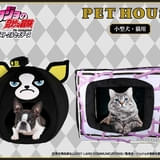 2026年1月より発売予定