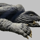 「宇宙怪獣ガメラ」飛びガメラ