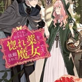 原作小説の書影