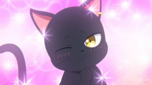 黒猫と魔女の教室」4月12日から連続2クールで放送 魔法学校の教師役に