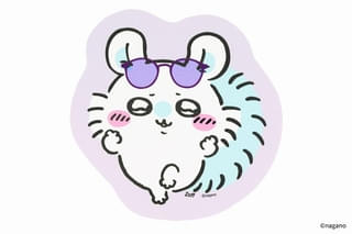 ダイカットクロス