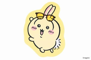 ダイカットクロス
