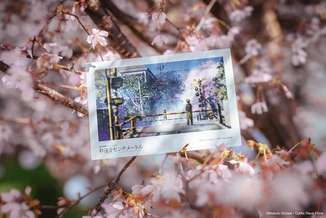 「秒速5センチメートル」入場特典「リバイバル上映限定ポストカード」