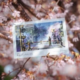 「秒速5センチメートル」入場特典「リバイバル上映限定ポストカード」