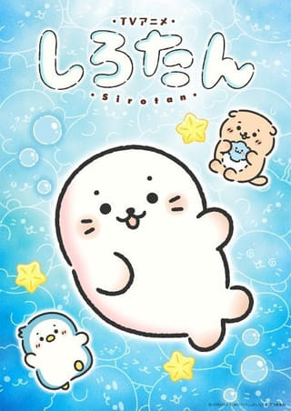 「しろたん」再アニメ化、26年秋にテレビ朝日で放送開始 しろたん役は悠木碧が続投