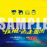 オリジナルチケットケース