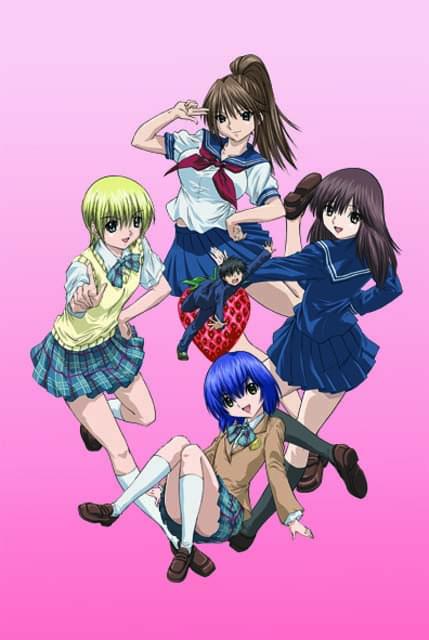 いちご100% : 作品情報・声優・キャスト - アニメハック