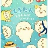 しろたん しろたんがいっぱい!