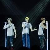 ARP AFTER SCHOOL PARADISE