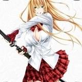 一騎当千 Western Wolves