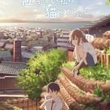 泣きたい私は猫をかぶる