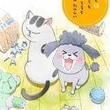 犬と猫どっちも飼ってると毎日たのしい