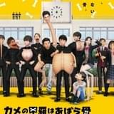 カメの甲羅はあばら骨