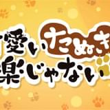 可愛いたぬきも楽じゃない