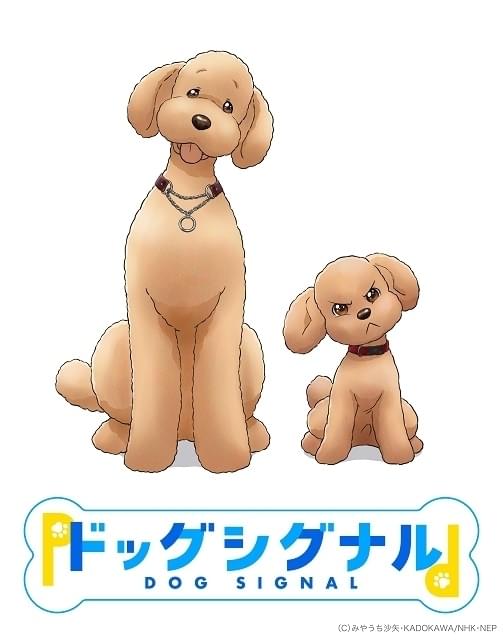 ドッグシグナル : 作品情報・声優・キャスト・あらすじ - アニメハック