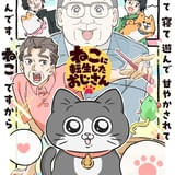 ねこに転生したおじさん