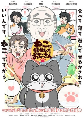 ねこに転生したおじさん