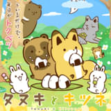 タヌキとキツネ