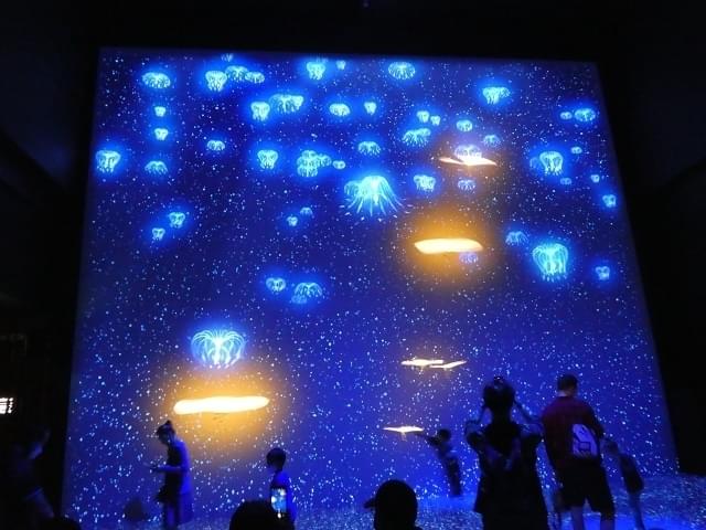 聖なる木の精が巨大スクリーンに登場