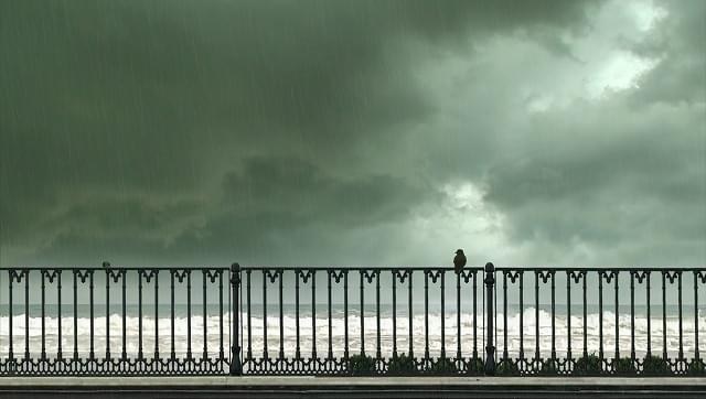 「24フレーム」