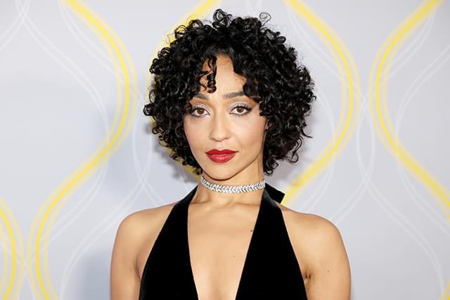 デビッド・E・ケリー＆J・J・エイブラムス制作総指揮のドラマ版「推定無罪」にルース・ネッガ