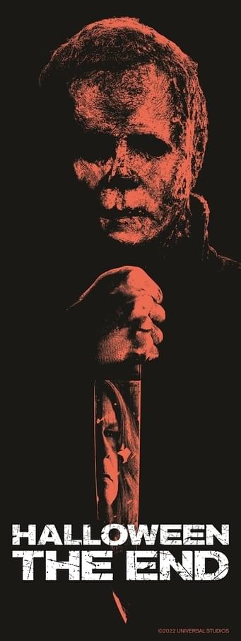 ムビチケカードの特典「マイケル掛け軸兼用手拭い」