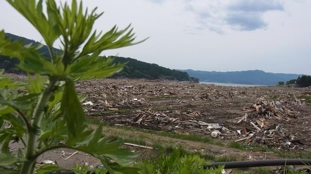 瓦礫作業時に撮影。山の上まで瓦礫が押し寄せていて、海水がたまり磯の匂いがした。津波の高さを実感した。