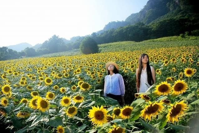 『瞬間少女』メインカット