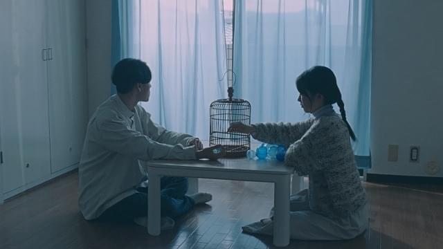 「夢見るペトロ」