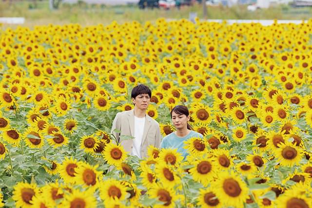 生田斗真＆尾野真千子がひまわり畑に囲まれる すれ違う夫婦をとらえた「渇水」新場面写真披露