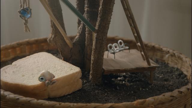 マルセルのかわいすぎる生態が明らかに