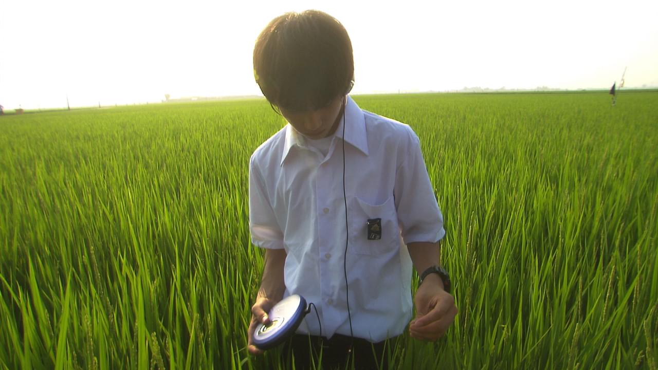 「リリイ・シュシュのすべて」「リップヴァンウィンクルの花嫁」など 岩井俊二関連作品をYouTubeで限定配信