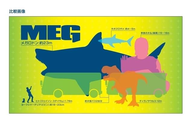 MEG(メガロドン)ってこんなに大きい!