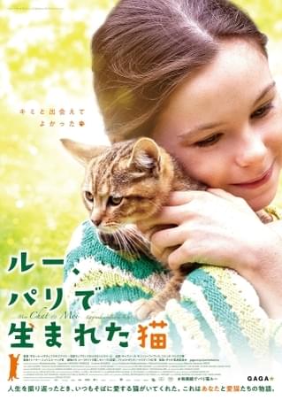 いつもそばに愛する猫がいた――猫好き悶絶必至！少女と愛猫との絆を描く「ルー、パリで生まれた猫」9月29日公開
