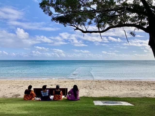 のどかで美しいビーチ…ですが今年多くのサメが出現し遊泳区域が制限されています