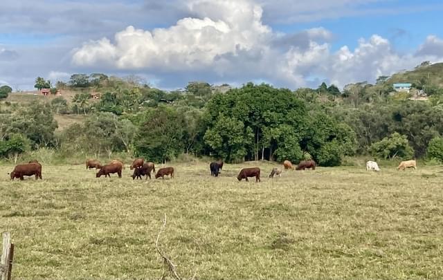 のどかな田舎町