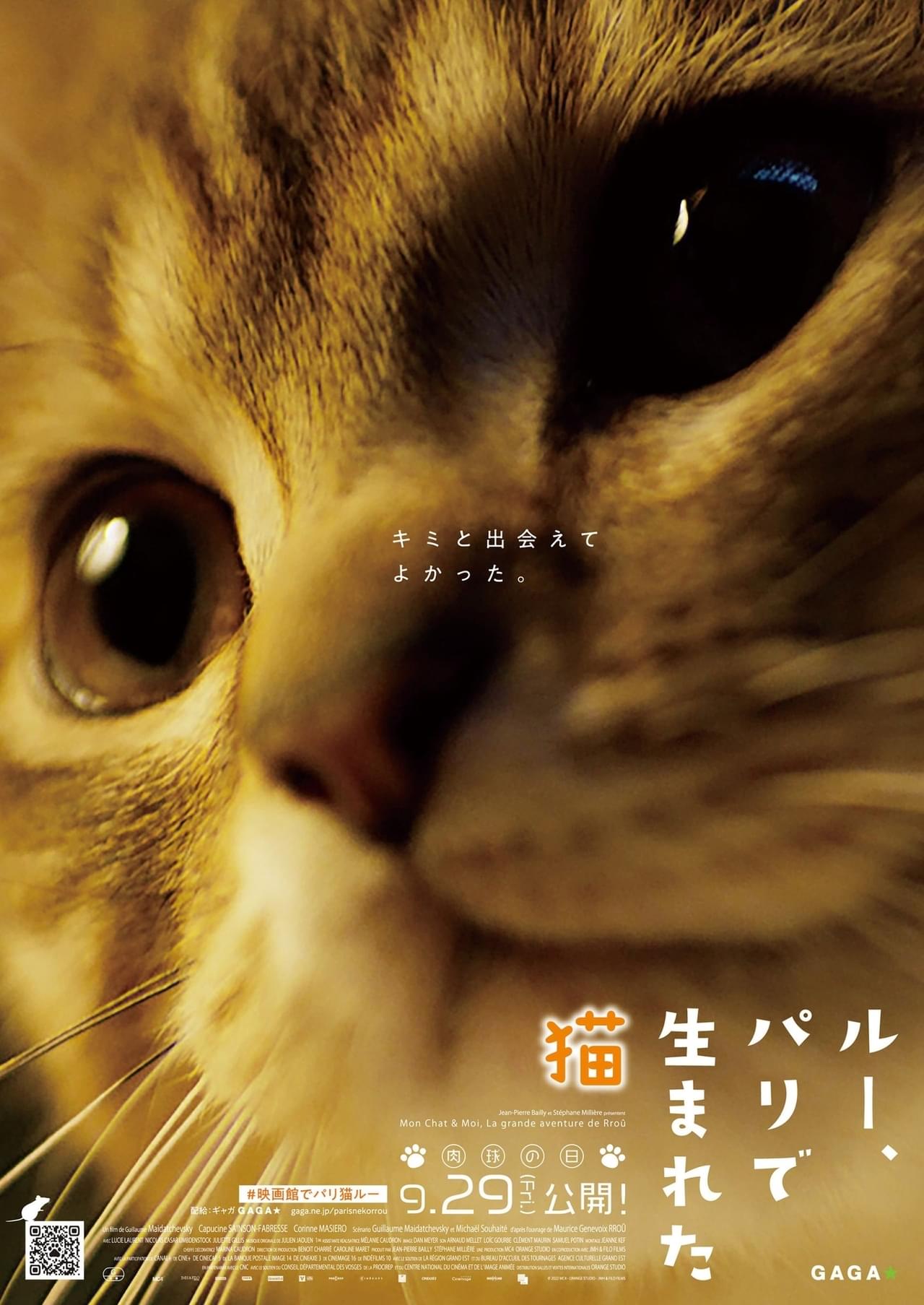 【8月8日は世界猫の日】心行くまで“猫を浴びたい人”へ 「ルー、パリで生まれた猫」予告＆“猫予告”完成