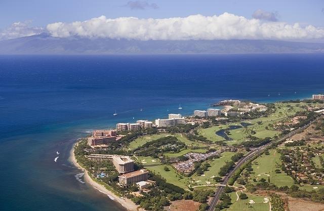 ハワイ・マウイ島の山火事を受けて――再建を祈りつつ、愛してやまない“思い出の地”を語る【ハリウッドコラムvol.340】