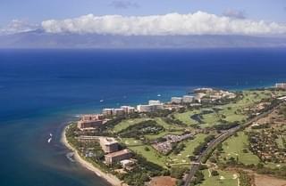 ハワイ・マウイ島の山火事を受けて――再建を祈りつつ、愛してやまない“思い出の地”を語る【ハリウッドコラムvol.340】