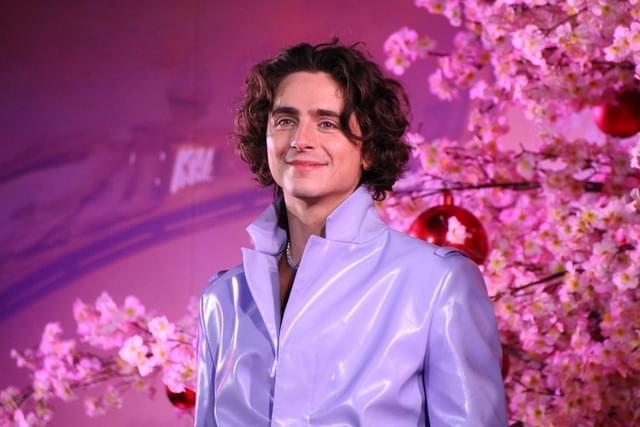 ティモシー・シャラメ、丁寧なファン対応で1200人を魅了 ヒュー・グラントと褒め合いも