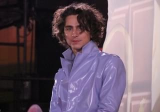 ティモシー・シャラメ、丁寧なファン対応で1200人を魅了 ヒュー・グラントと褒め合いも