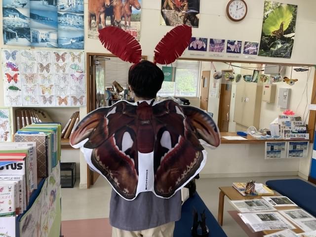 ヨナグニサンになれる！子どもに大人気