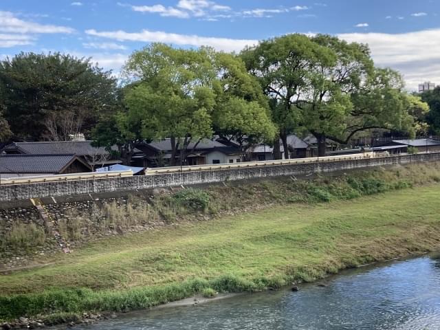 まるで日本の田舎のような風景も見られます