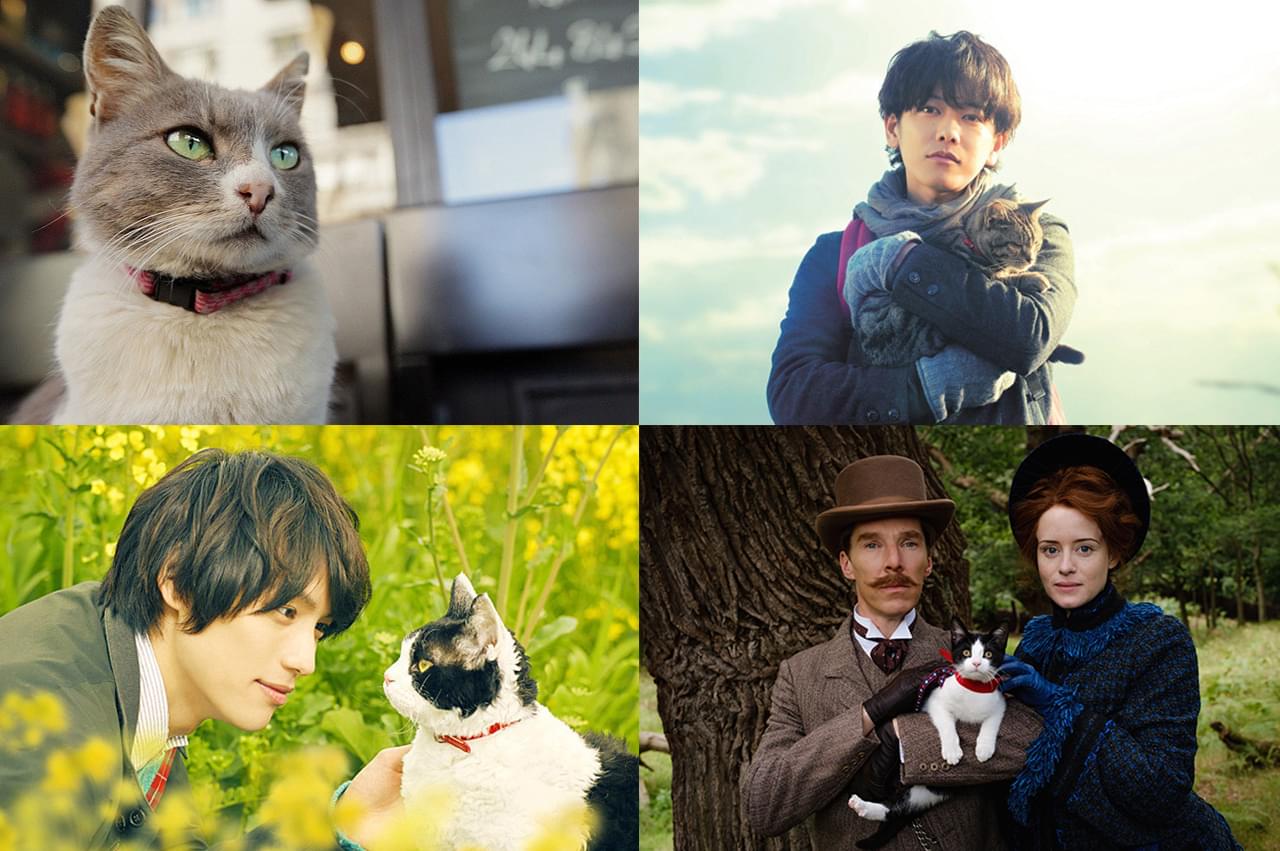 【2月22日は猫の日】あなたの好きな“猫映画”を教えて！ 映画.comユーザーが教えてくれた“50本の猫映画”