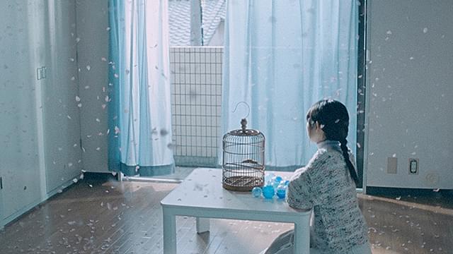 「夢見るペトロ」