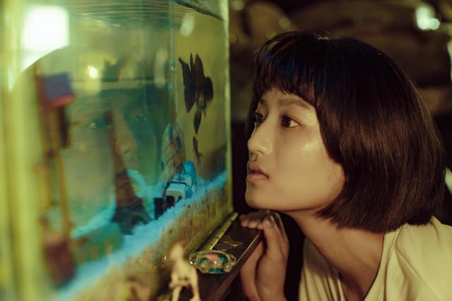 「金魚の記憶」