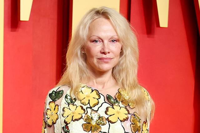 リーアム・ニーソン主演「裸の銃を持つ男」リブート版にパメラ・アンダーソン