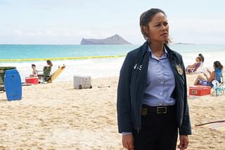 「NCIS ハワイ」、シーズン3で打ち切り